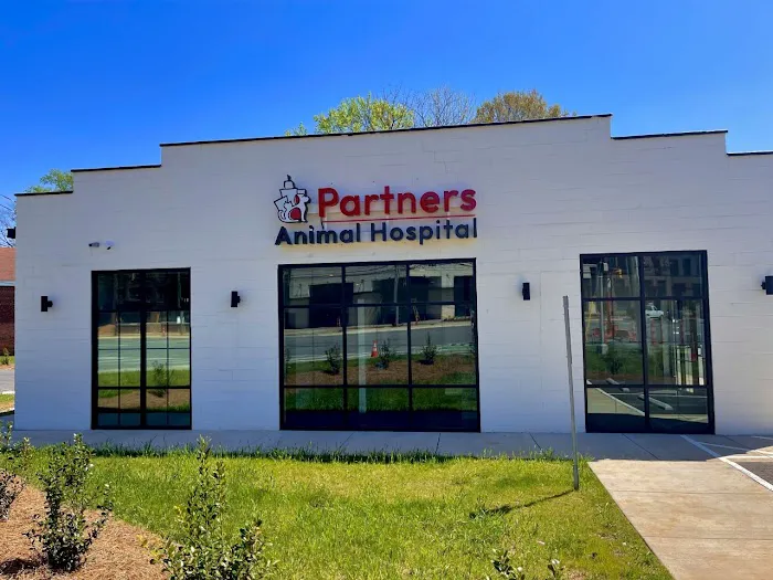 Partners Animal Hospital NoDa Picture 10