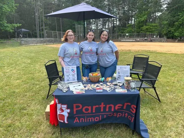 Partners Animal Hospital NoDa Picture 7