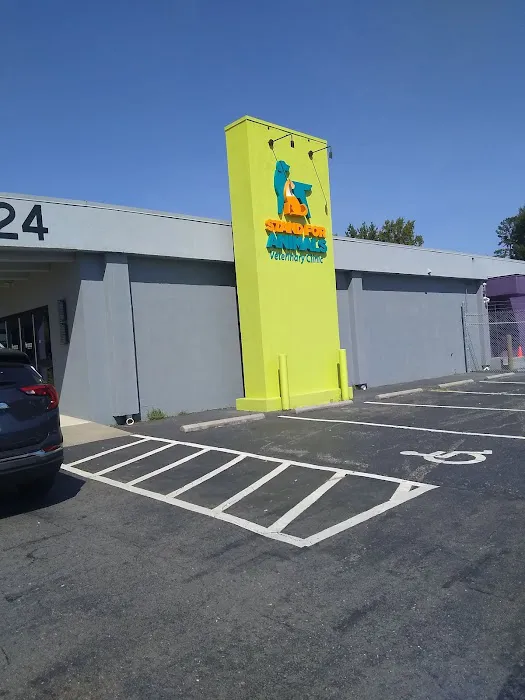 Stand For Animals Veterinary Clinic Picture 9
