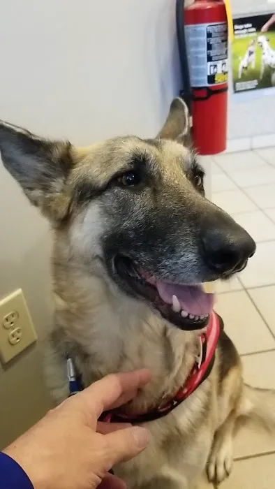 Sun Valley Animal Hospital Picture 1