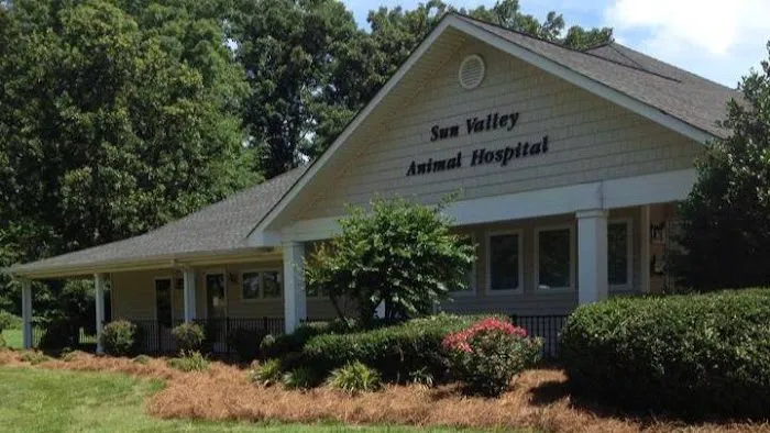 Sun Valley Animal Hospital Picture 3