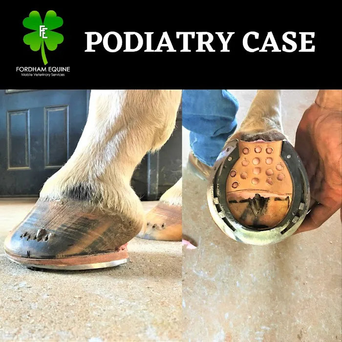 Fordham Equine Mobile Veterinary Services, PLLC Picture 2