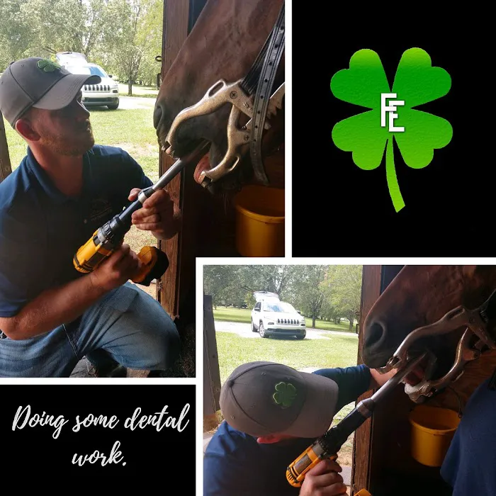 Fordham Equine Mobile Veterinary Services, PLLC Picture 1