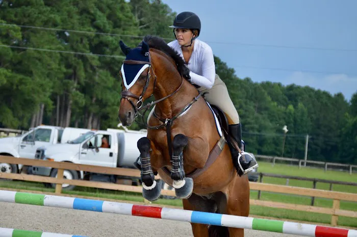 Fordham Equine Mobile Veterinary Services, PLLC Picture 3