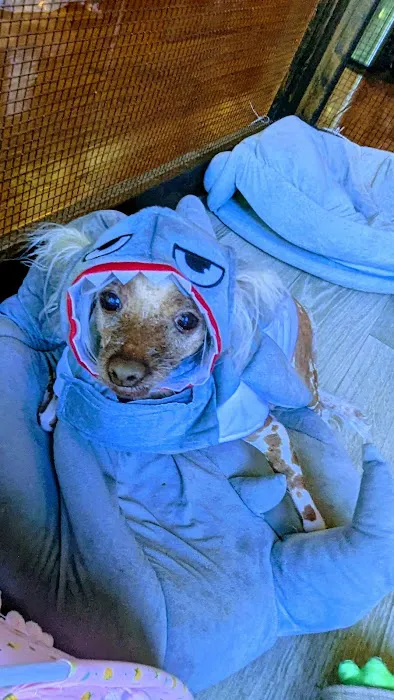 Banfield Pet Hospital Picture 3