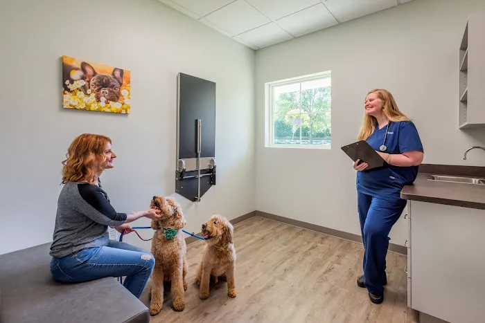 Carolina Pets Animal Hospital Picture 10