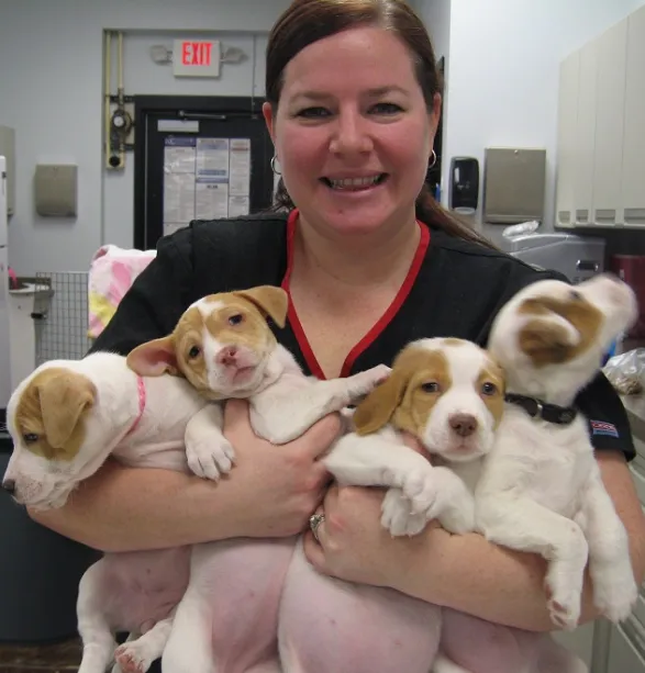 Pressly Animal Hospital Picture 10