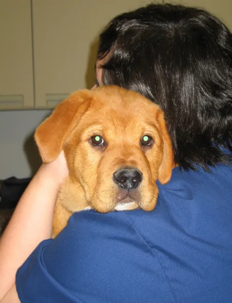 Pressly Animal Hospital Picture 9