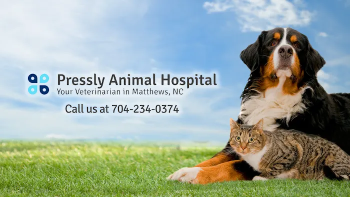 Pressly Animal Hospital Picture 7
