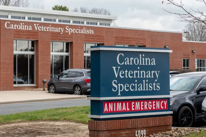Carolina Veterinary Specialists Matthews Picture 2