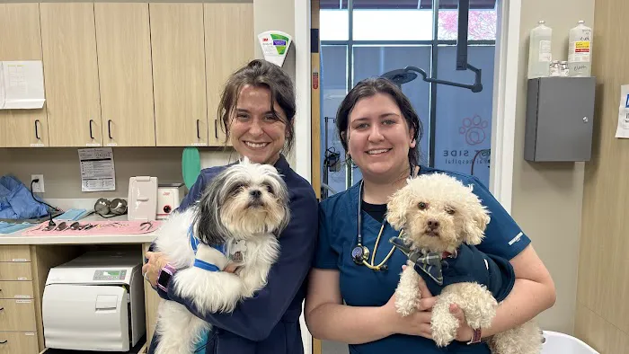East Side Animal Hospital Picture 3
