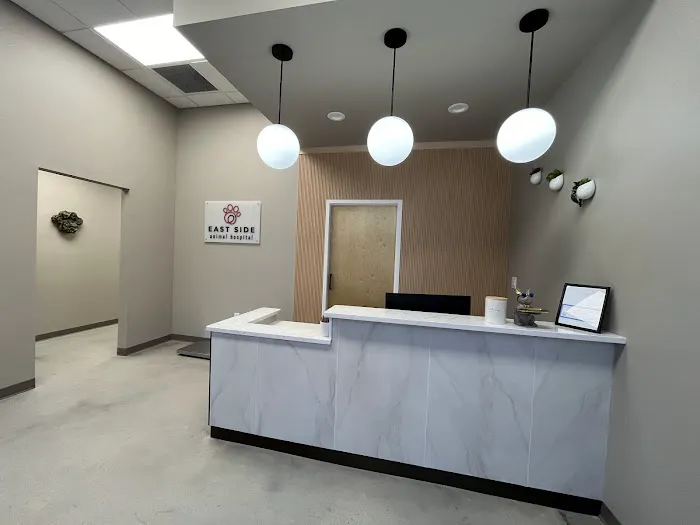 East Side Animal Hospital Picture 9