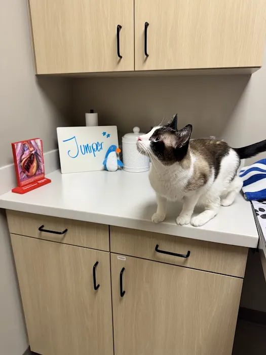 East Side Animal Hospital Picture 5
