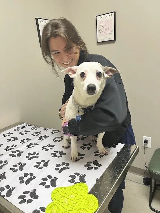 East Side Animal Hospital Picture 1