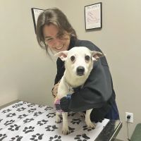 East Side Animal Hospital ico
