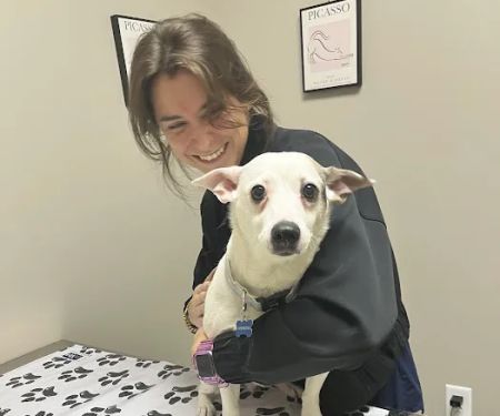East Side Animal Hospital