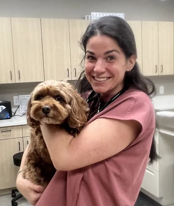 East Side Animal Hospital Picture 6