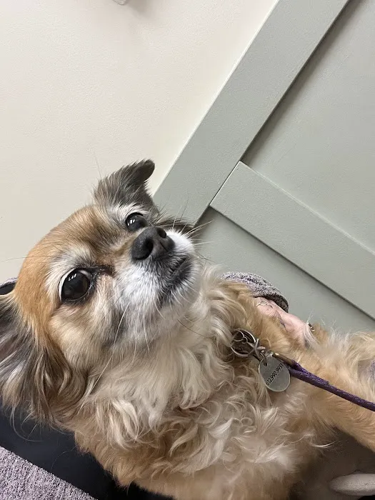 Armstrong Animal Clinic Picture 3