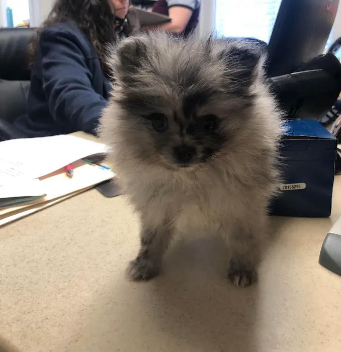 Armstrong Animal Clinic Picture 10