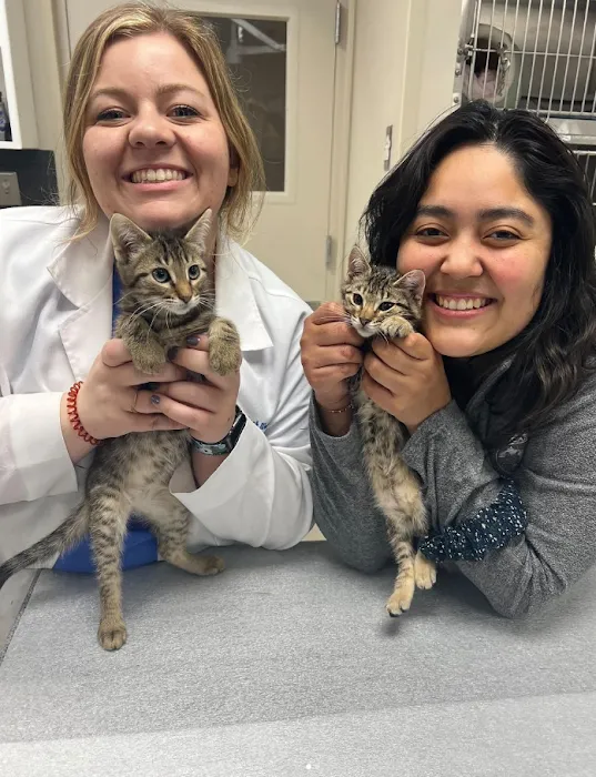 Animal Medical Hospital & Urgent Care Picture 10