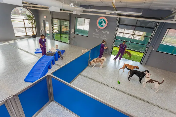 Animal Medical Hospital & Urgent Care Picture 9