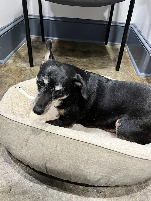 Monroe Road Animal Hospital Picture 6