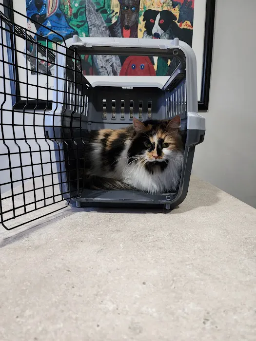 Monroe Road Animal Hospital Picture 5