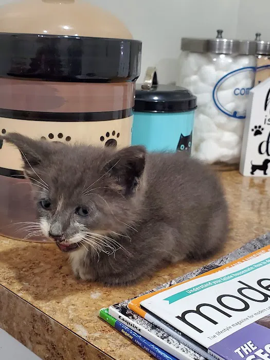Monroe Road Animal Hospital Picture 1