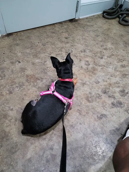 Monroe Road Animal Hospital Picture 10