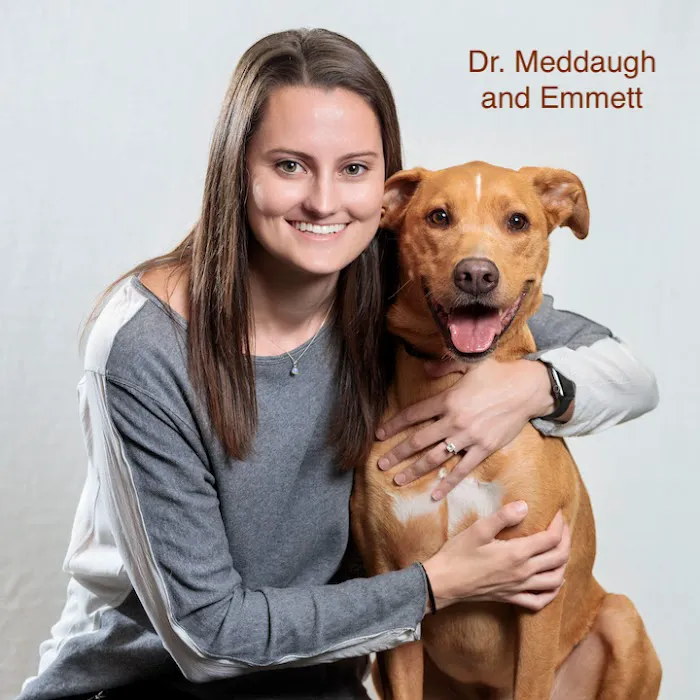 CARE | Charlotte Animal Referral & Emergency Picture 10