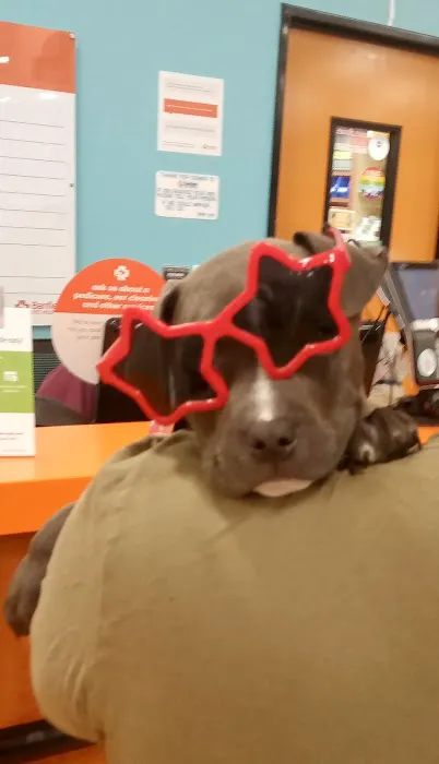 Banfield Pet Hospital Picture 6