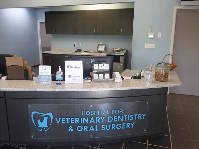 Hospital for Veterinary Dentistry and Oral Surgery Picture 1
