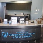 Hospital for Veterinary Dentistry and Oral Surgery