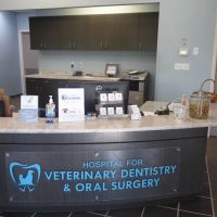 Hospital for Veterinary Dentistry and Oral Surgery ico