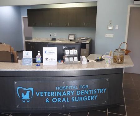 Hospital for Veterinary Dentistry and Oral Surgery