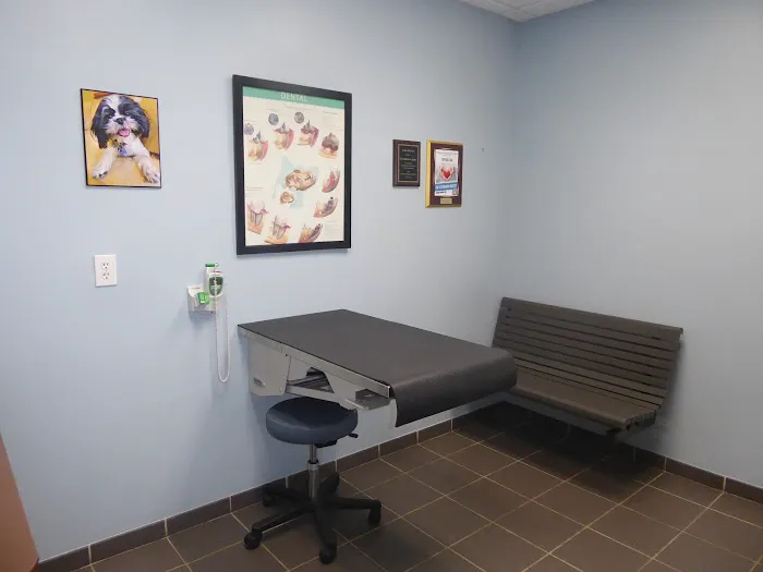 Hospital for Veterinary Dentistry and Oral Surgery Picture 10