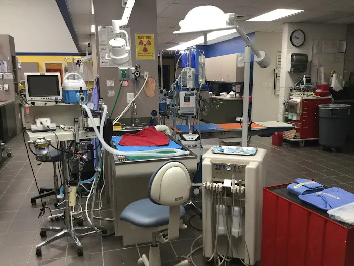 Hospital for Veterinary Dentistry and Oral Surgery Picture 9