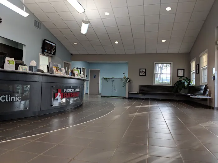Animal Eye Clinic Picture 3