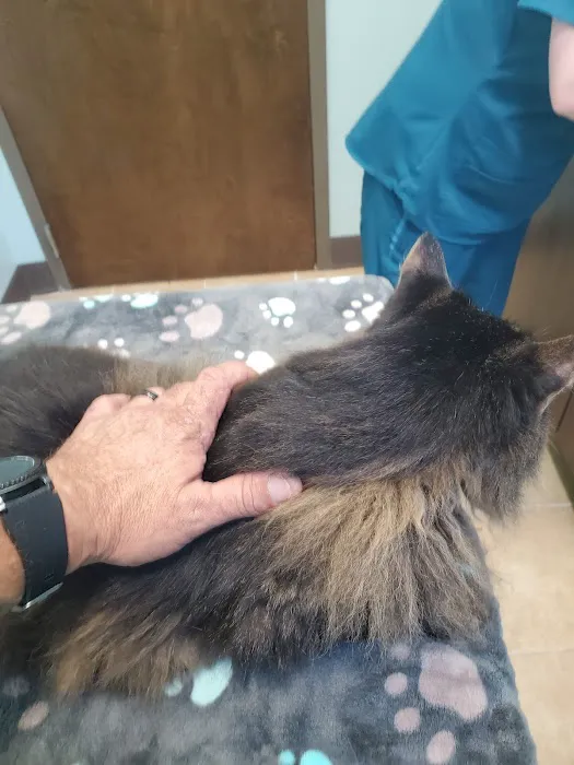 Passionate Paws Animal Hospital - Weddington Picture 8