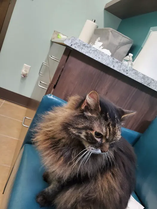 Passionate Paws Animal Hospital - Weddington Picture 7