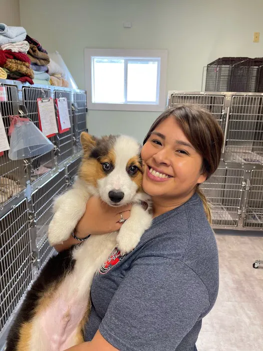 Sandhills Spay Neuter Veterinary Clinic Picture 9