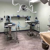 Sandhills Spay Neuter Veterinary Clinic ico