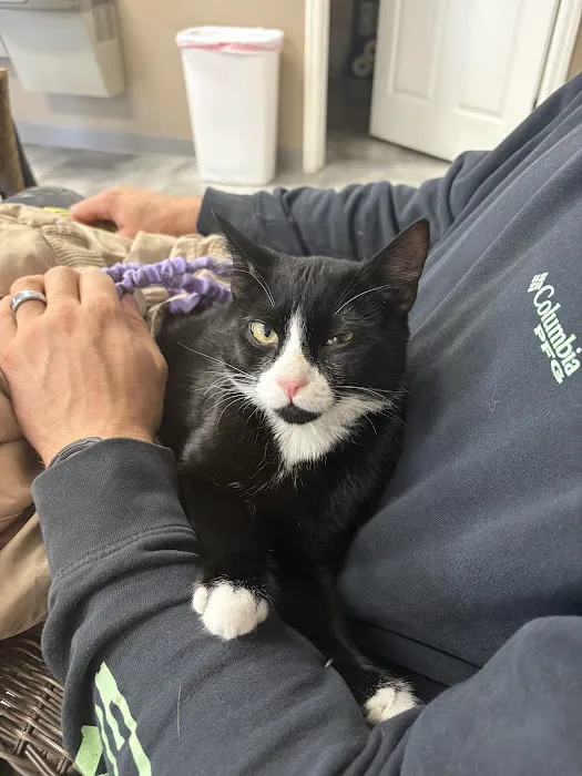 Sandhills Spay Neuter Veterinary Clinic Picture 7