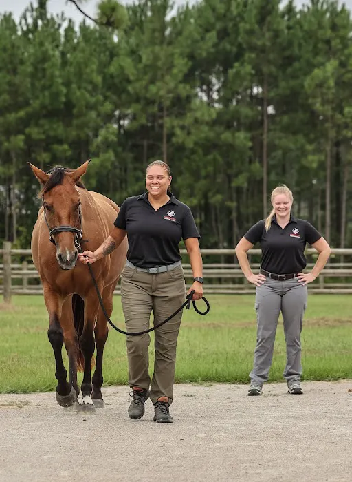 Foundation Equine Clinic Picture 5