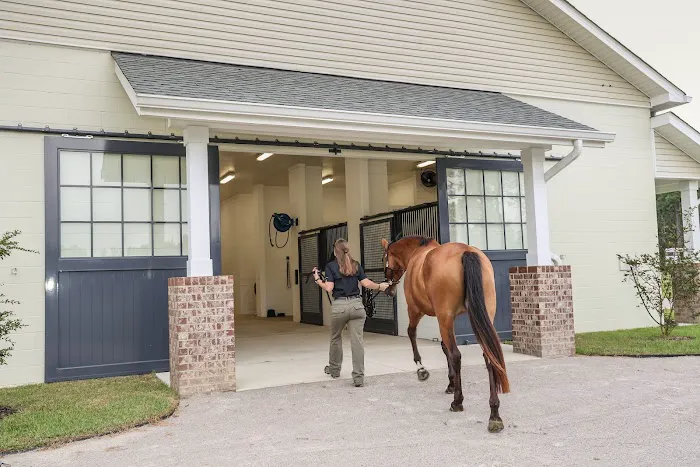 Foundation Equine Clinic Picture 4