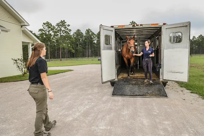 Foundation Equine Clinic Picture 7