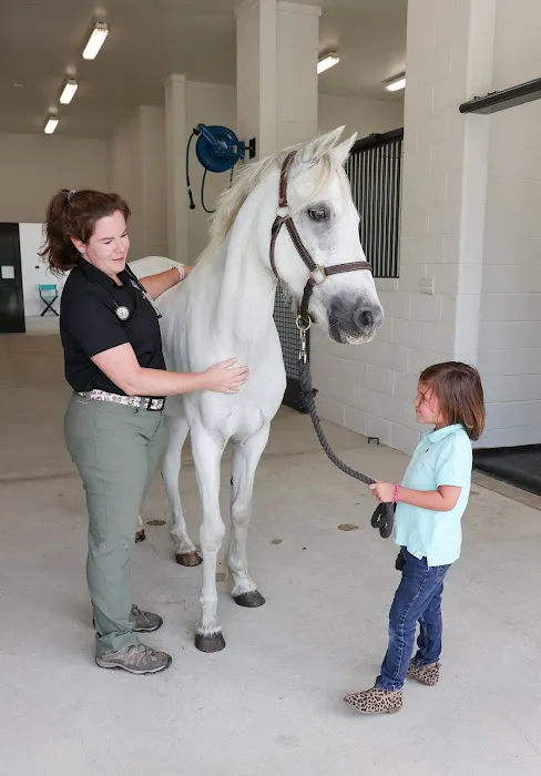 Foundation Equine Clinic Picture 3