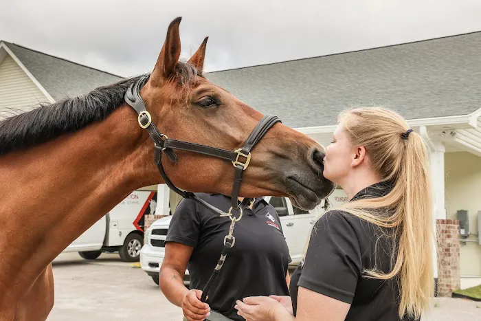 Foundation Equine Clinic Picture 6
