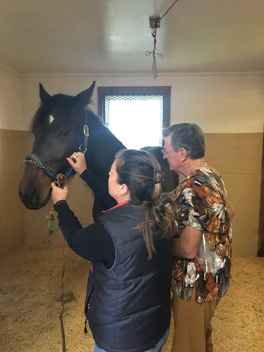 Carolina Equine Clinic Picture 3