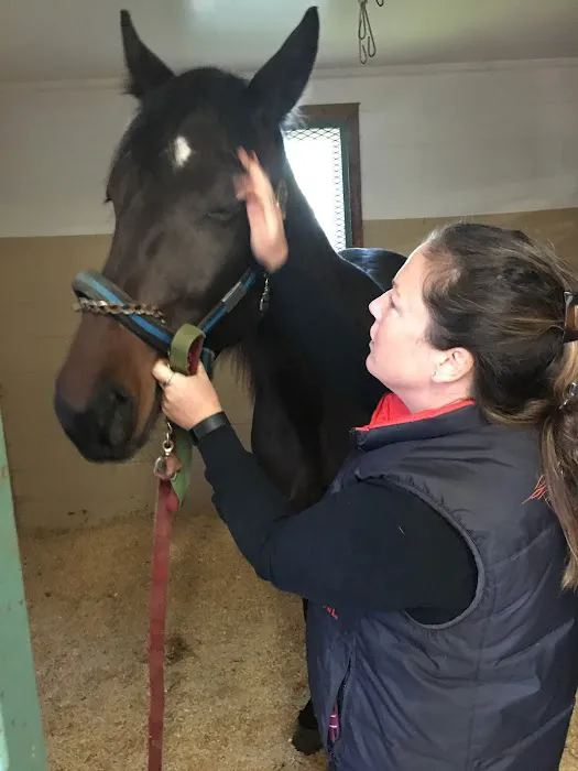Carolina Equine Clinic Picture 4